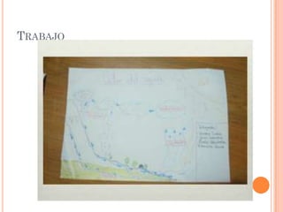 TRABAJO
 