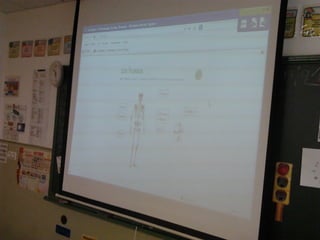 Album de fotografías 2º a primaria