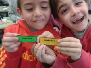 Album de fotografías 2º a primaria