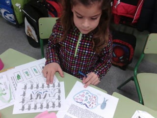 Album de fotografías 2º a primaria