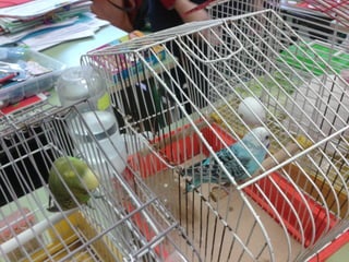 Album de fotografías 2º a primaria