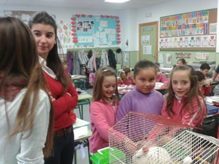 Album de fotografías 2º a primaria