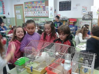 Album de fotografías 2º a primaria