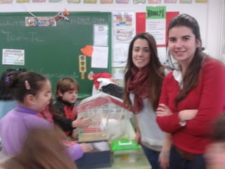 Album de fotografías 2º a primaria