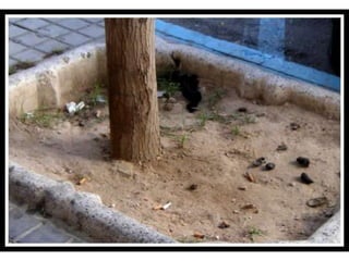 áLbum de fotografías3