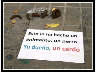 áLbum de fotografías3