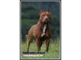 áLbum de fotografías3