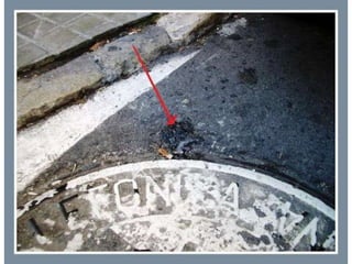 áLbum de fotografías3