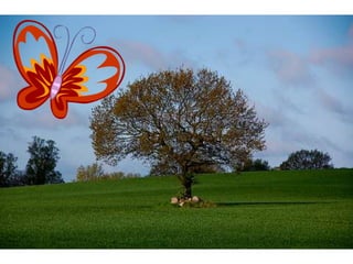 áLbum de fotografías  cindy