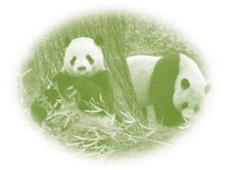 áLbum de fotografías  cindy