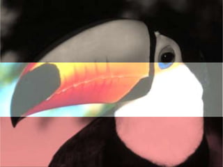 áLbum de fotografías  cindy