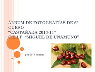 ÁLBUM DE FOTOGRAFÍAS DE 6º
CURSO
“CASTAÑADA 2013-14”
C.E.I.P. “MIGUEL DE UNAMUNO”

por Mª Carmen

 