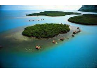 áLbum de fotografías mar