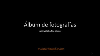 Álbum de fotografías
por Natalia Mendoza
EL CABALLO PERUANO DE PASO
1
 