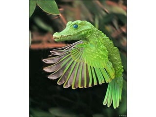 áLbum de fotografías pps