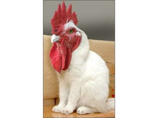 áLbum de fotografías pps