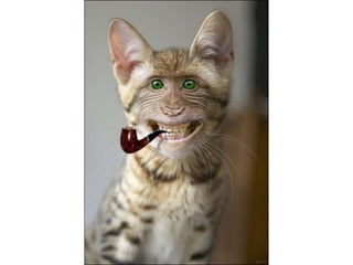 áLbum de fotografías pps