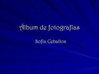 Álbum de fotografías Sofía Ceballos 
