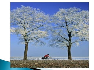 Album de fotografías 