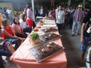 áLbum de fotografias