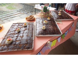 áLbum de fotografias