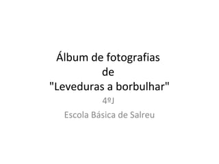 Álbum de fotografias
de
"Leveduras a borbulhar"
4ºJ
Escola Básica de Salreu
 