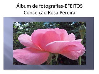 Álbum de fotografias-EFEITOSConceição Rosa Pereira por vanderlei 
