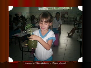 Semana do Meio Ambiente – Vamos plantar? 