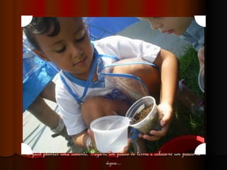 É fácil plantar uma semente. Pega-se um pouco de terrra e coloca-se um pouco de água... 