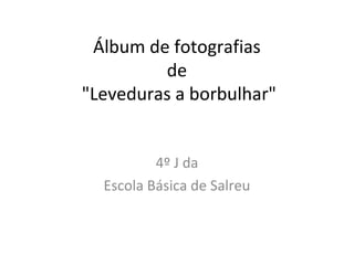 Álbum de fotografias
de
"Leveduras a borbulhar"
4º J da
Escola Básica de Salreu
 