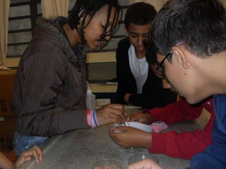 áLbum de fotografias 1 a