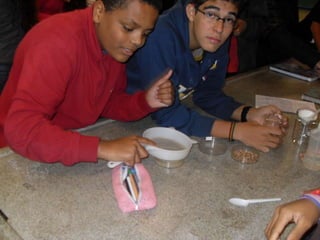 áLbum de fotografias 1 a