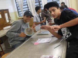 áLbum de fotografias 1 a