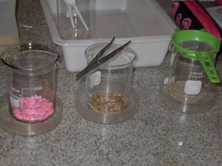 áLbum de fotografias 1 a