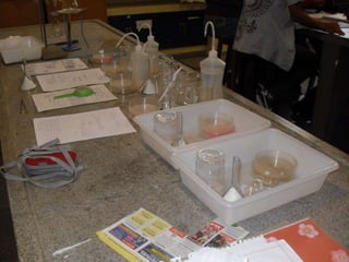 áLbum de fotografias 1 a