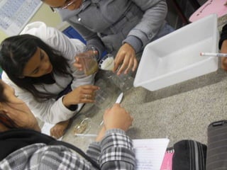 áLbum de fotografias 1 a