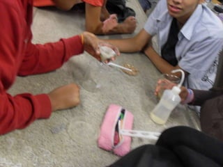 áLbum de fotografias 1 a