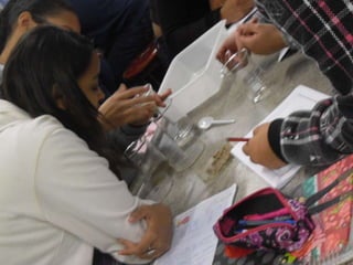 áLbum de fotografias 1 a