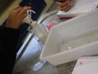 áLbum de fotografias 1 a