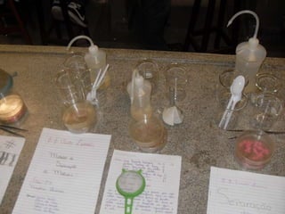 áLbum de fotografias 1 a