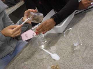 áLbum de fotografias 1 a