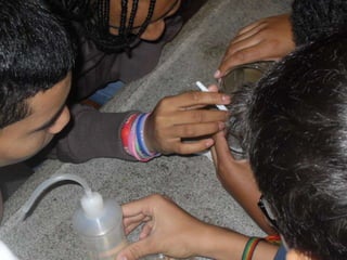 áLbum de fotografias 1 a