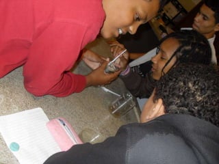 áLbum de fotografias 1 a