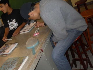 áLbum de fotografias 1 a