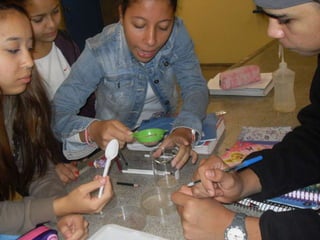 áLbum de fotografias 1 a