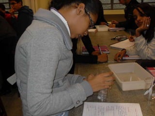 áLbum de fotografias 1 a