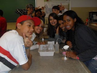 áLbum de fotografias 1 e