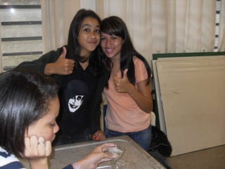 áLbum de fotografias 1 e