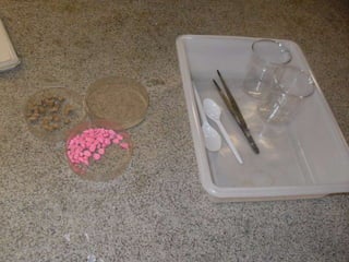 áLbum de fotografias 1 g