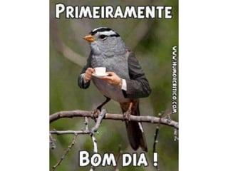 Atitude - Uma Questão Pessoal